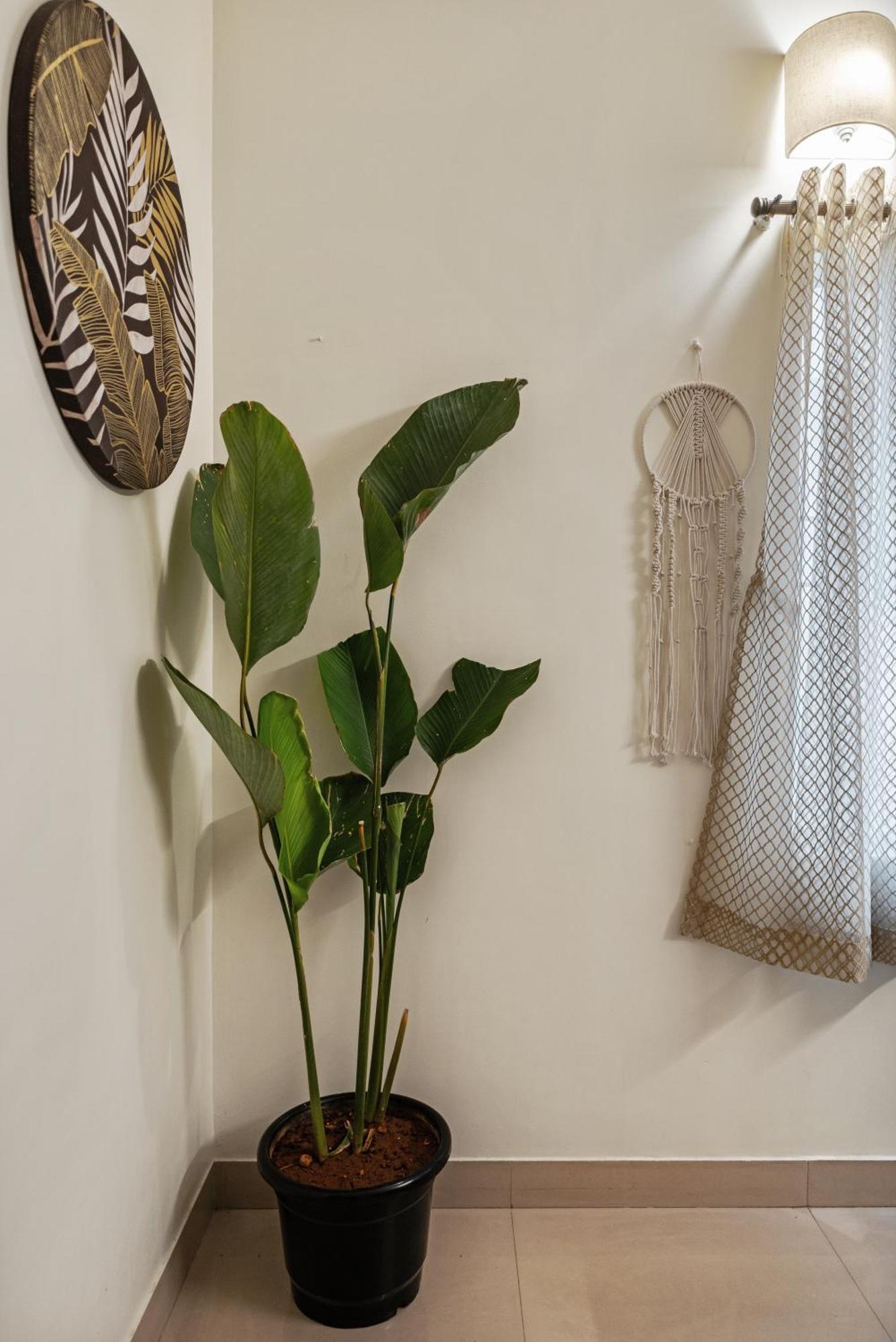 벵갈루루 House Of 2 Tress Penthouse 빌라 외부 사진